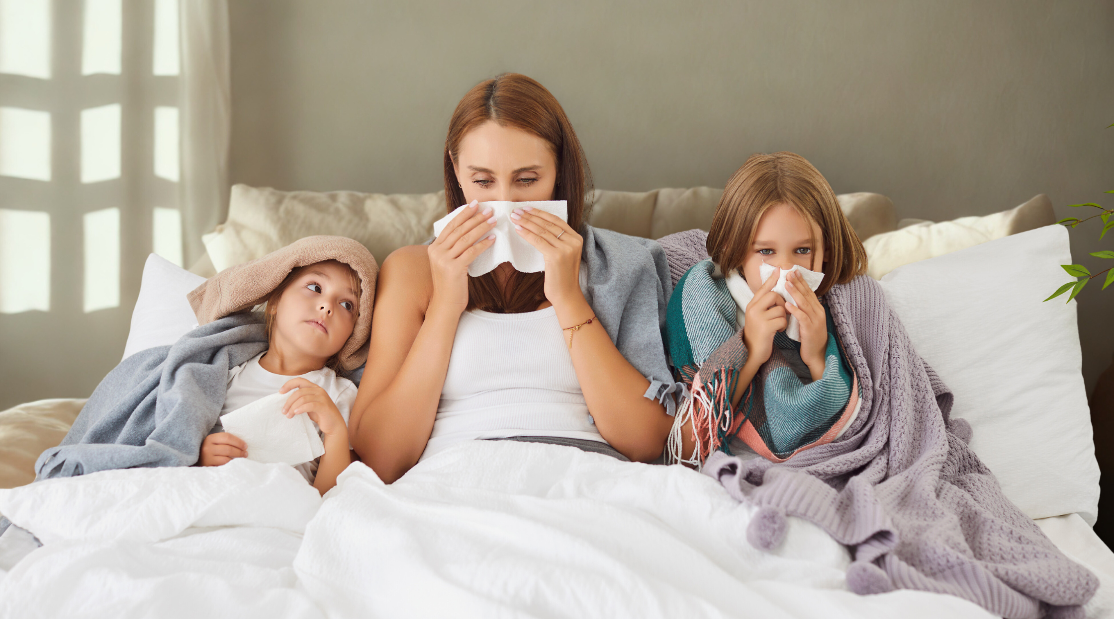 slika koja opisuje sadržaj bloga